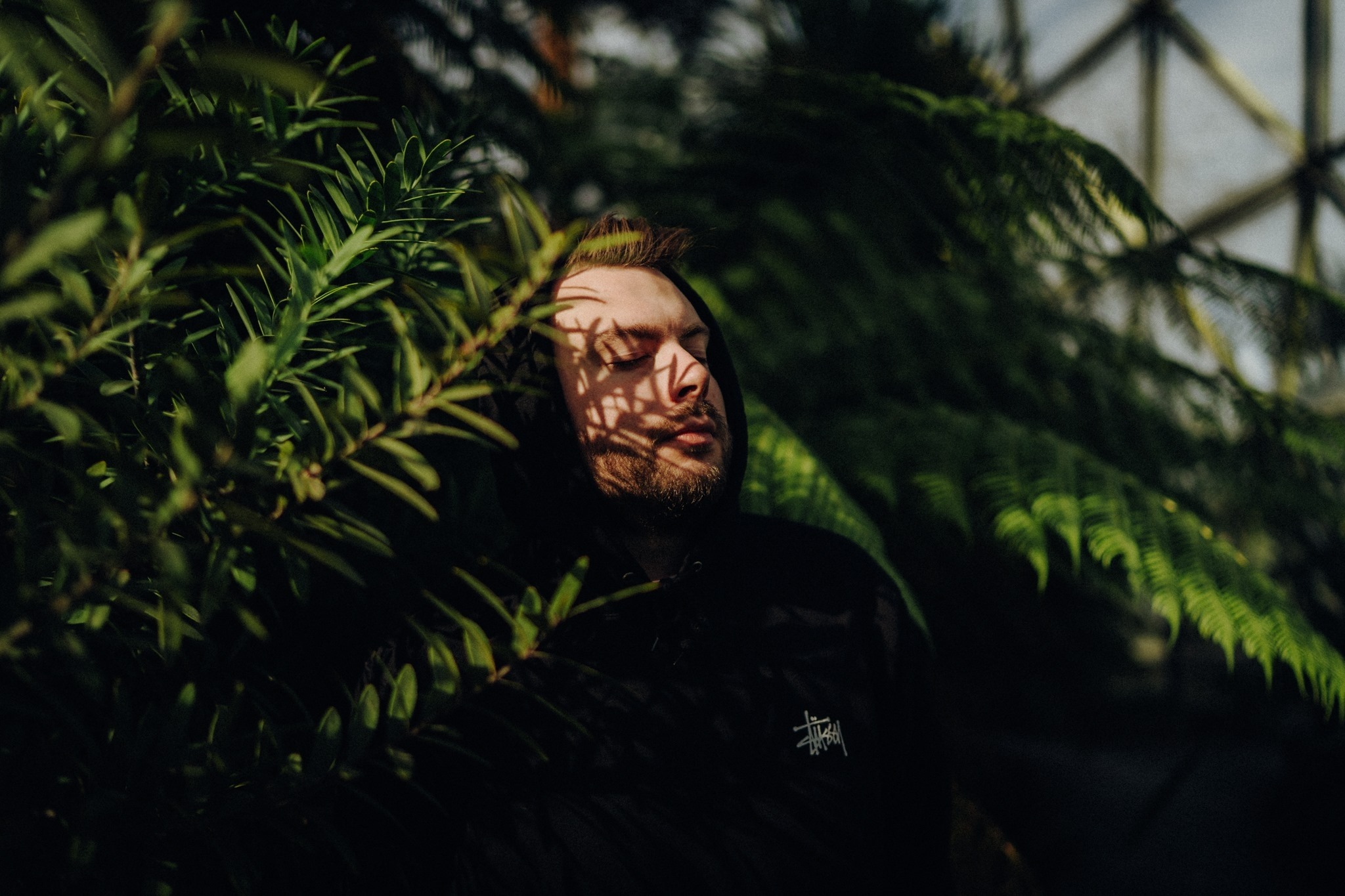 Alex Hoevelmann