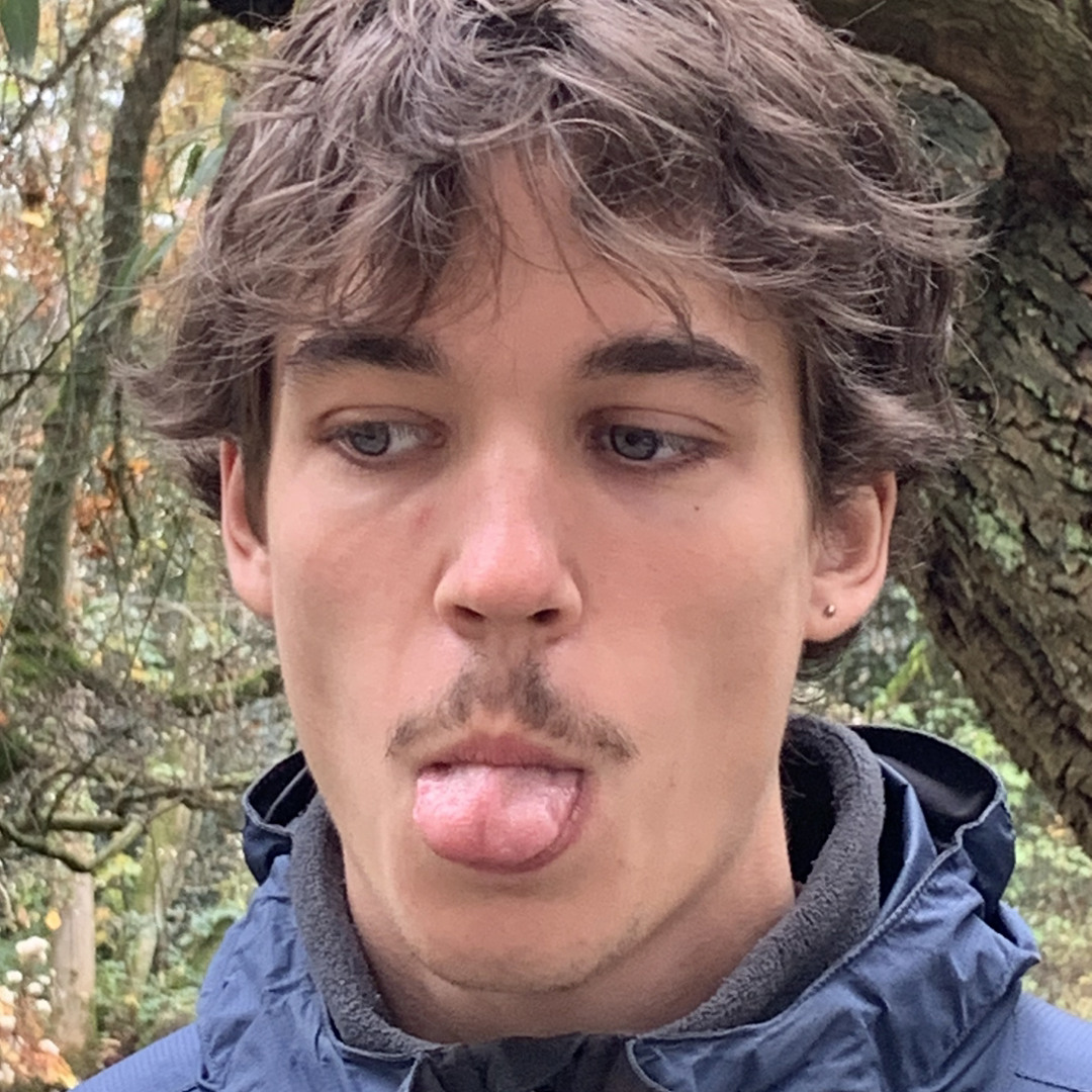 Arinho