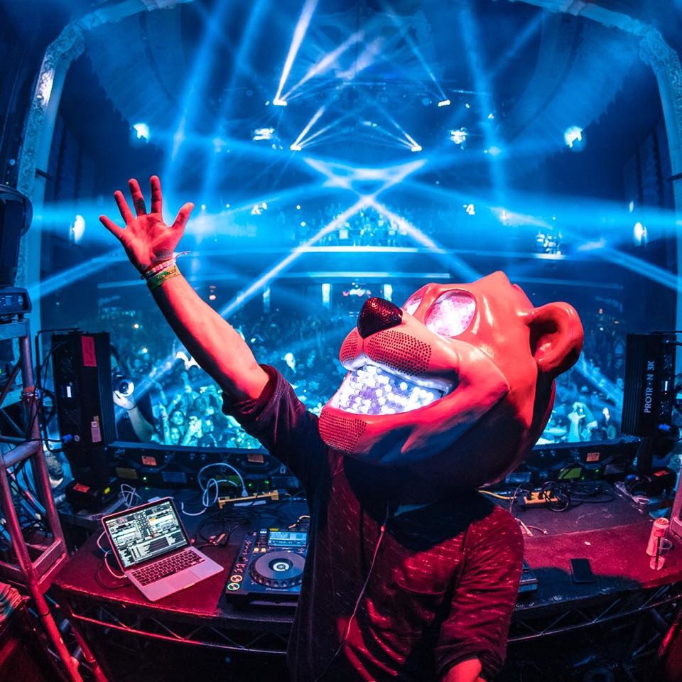 Bear Grillz