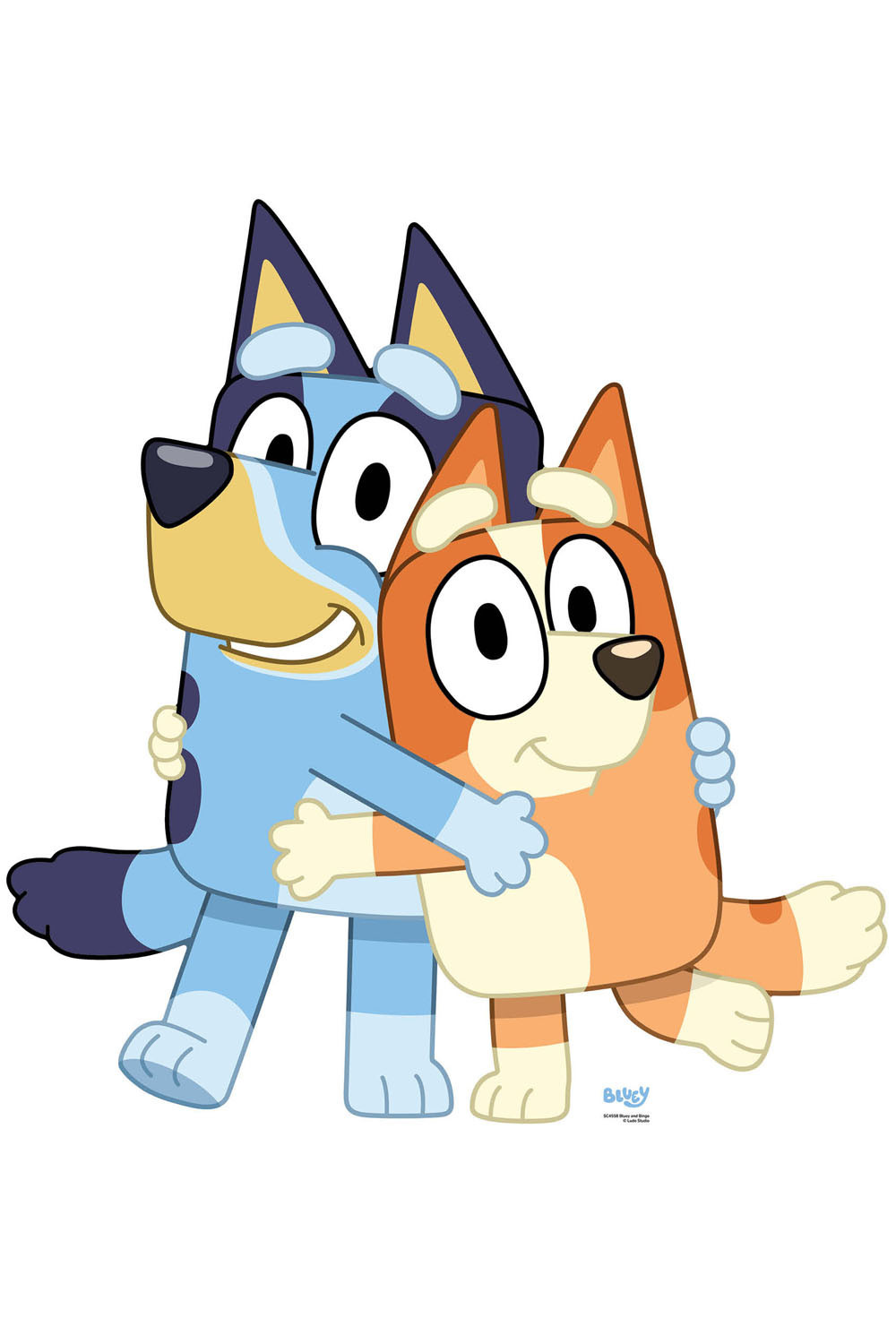 Bluey & Bingo