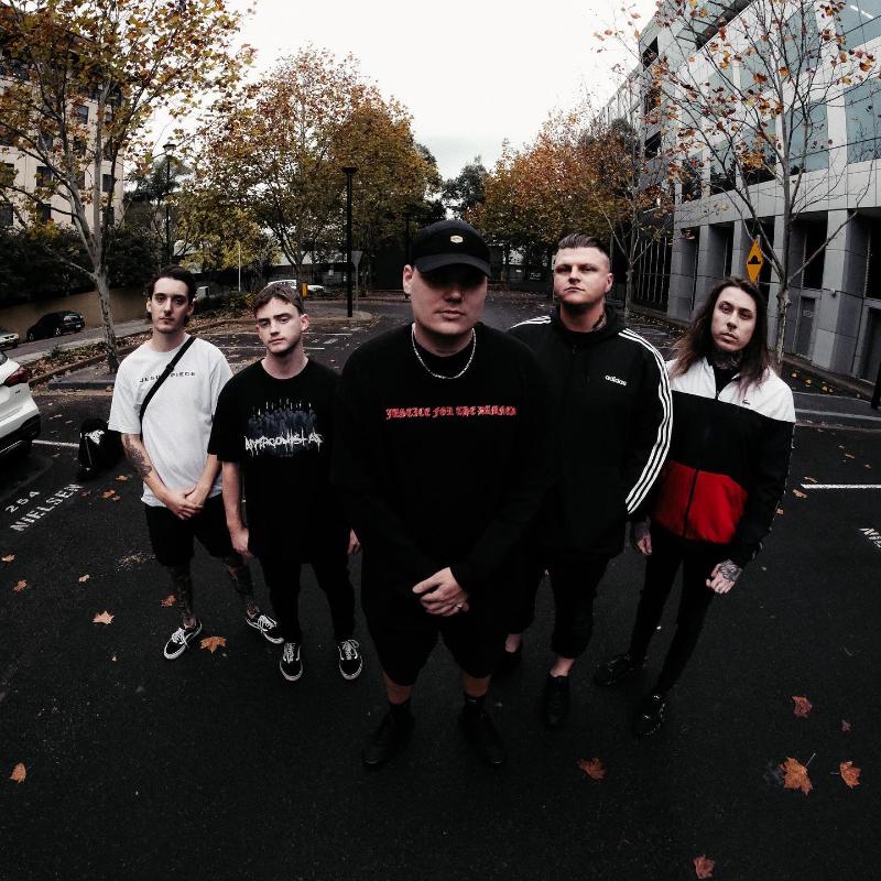 Diesect