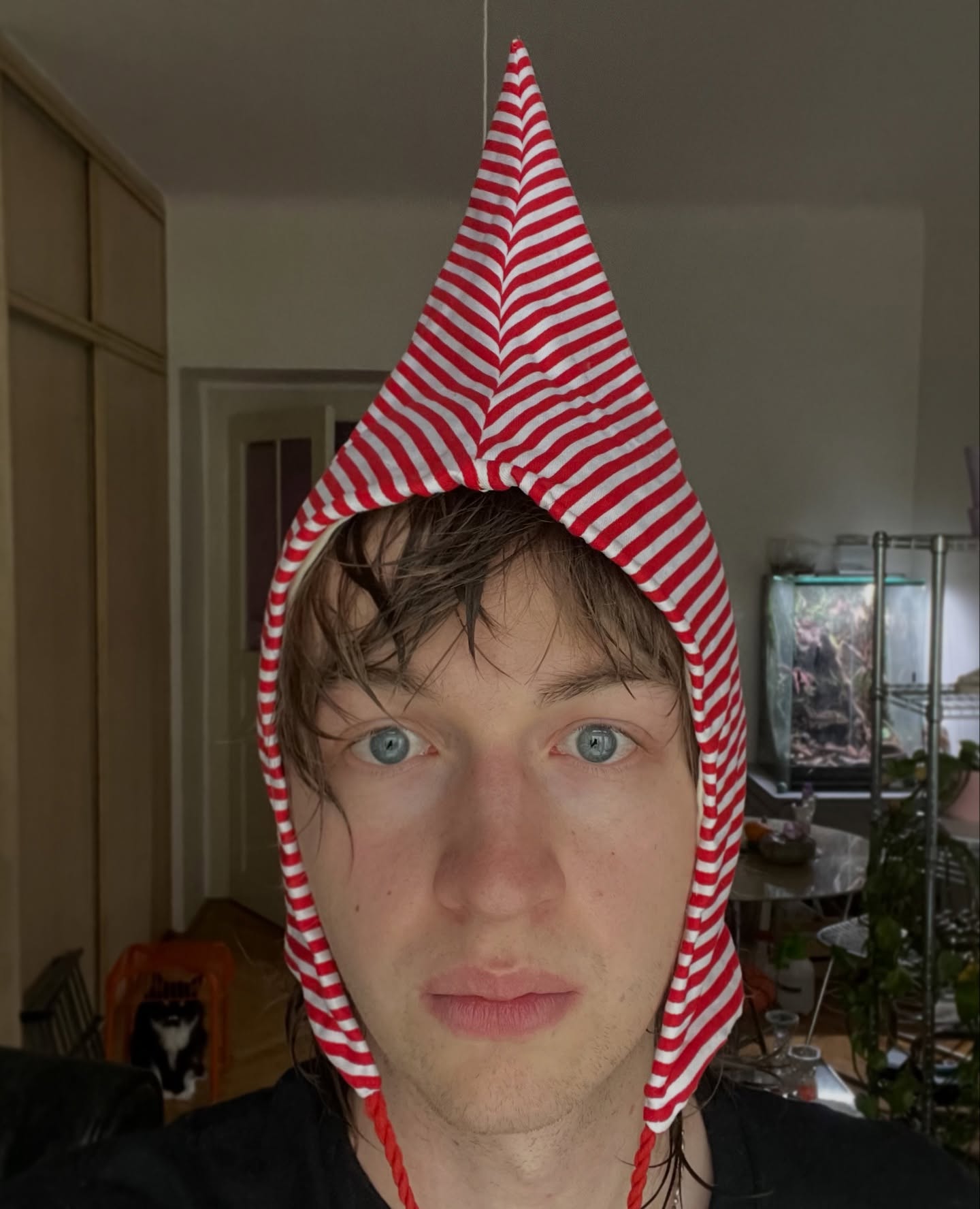 Olmatri