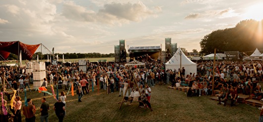 The Fortunate Sons
