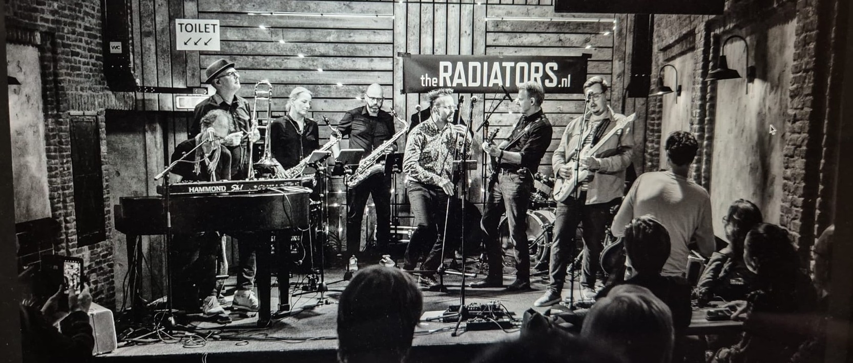 The Radiators