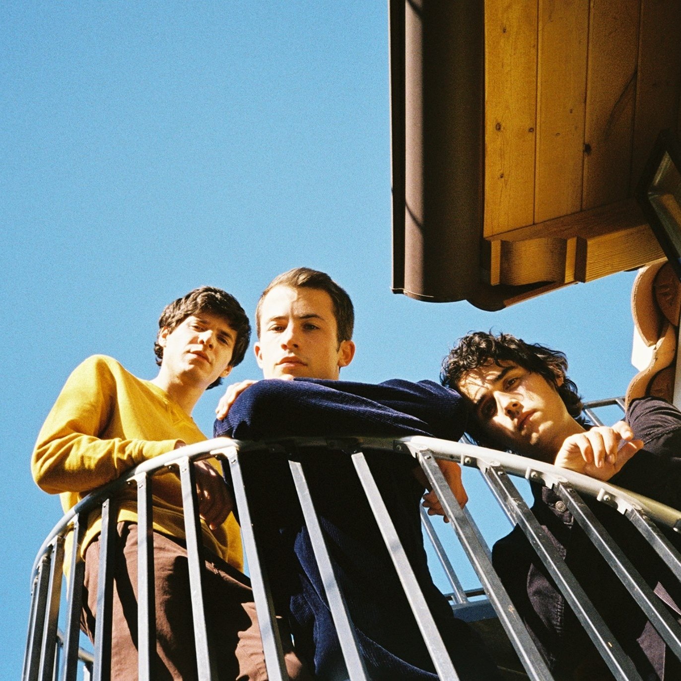 Wallows