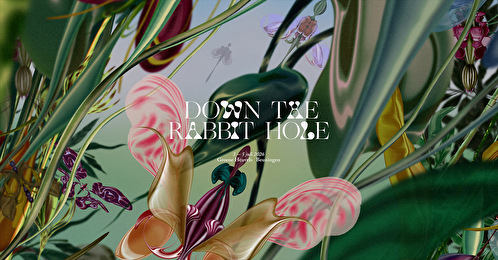 Down The Rabbit Hole