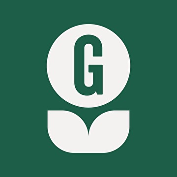 Gladiolen