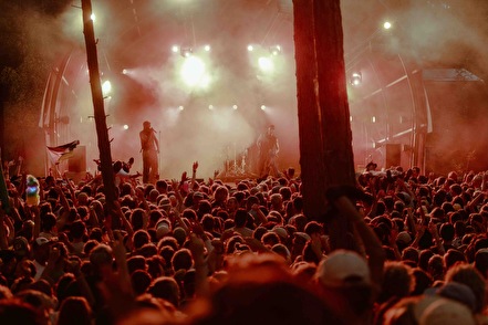 Into The Great Wide Open