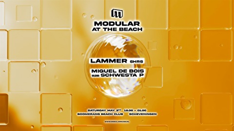 Modular at the Beach