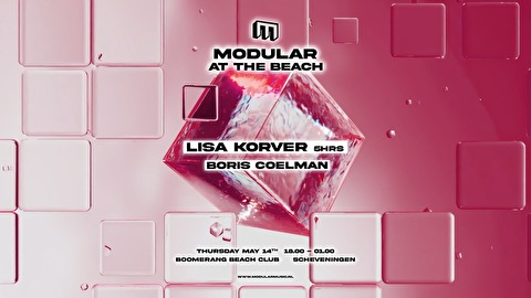 Modular at the Beach