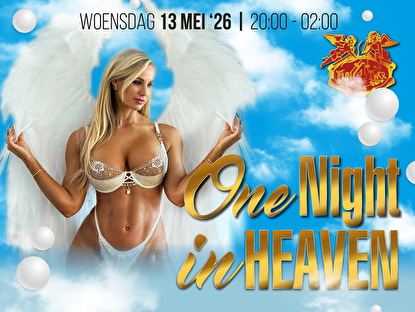 One Night In Heaven
