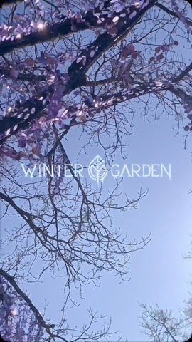 Winter Garden